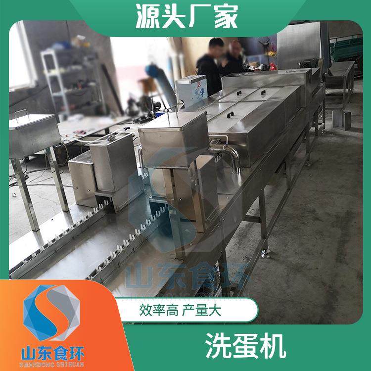 全自动鸡蛋清洗机洗蛋机设备多功能鸭蛋清洗机保洁蛋清洗机,清洗/食品/商业设备,其他食品加工设备,淘宝优惠券,粉丝福利购,淘宝优惠卷
