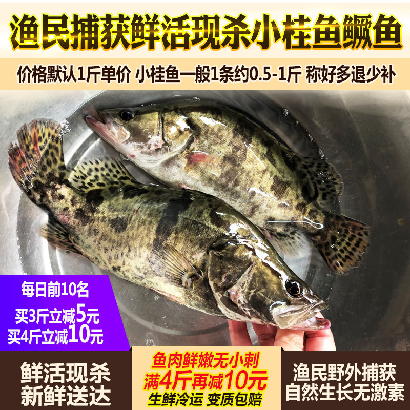 生态淡水鱼多少钱 生态淡水鱼优惠券免费领取 有条鱼