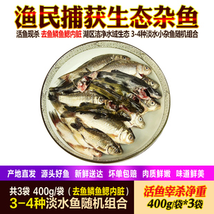 淡水鱼自然捕获三去生态小杂鱼3-4种组合鱼类鲜活鱼现杀生鲜水产