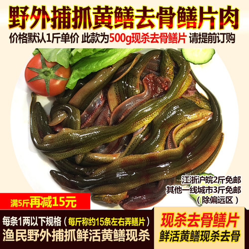 正宗土黄鳝去骨鳝片肉鲜活现杀