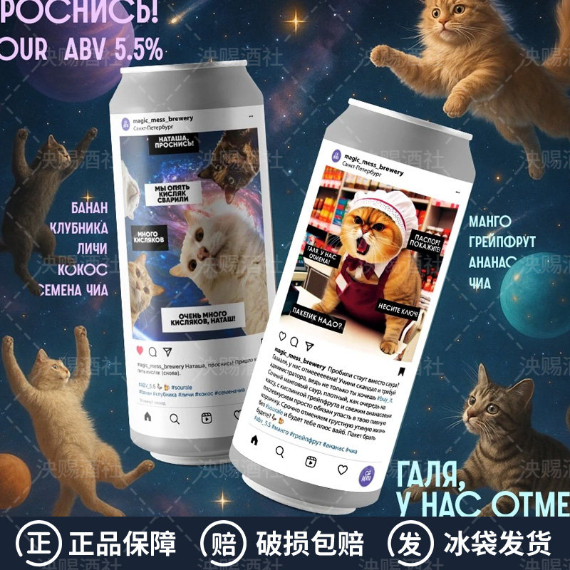 俄罗斯进口魔法风暴猫厂水果果泥精酿冰沙酸艾尔精酿啤酒450ml