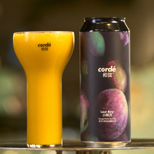 和弦小精灵青芒大果泥酸艾尔啤酒