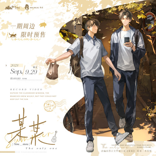 某某一期我在徽章立牌