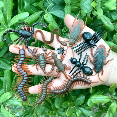仿真蝎子动物模型摆件昆虫