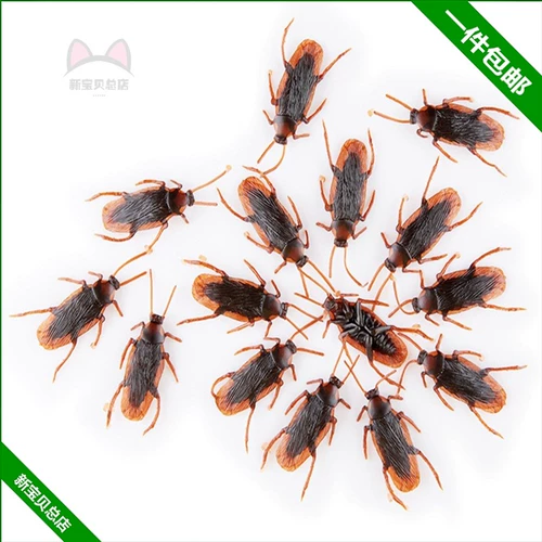 Имитация подарочная коробка таракана, страшная Xiaoqiang Детская игрушечная игрушка фальшивые насекомого набор