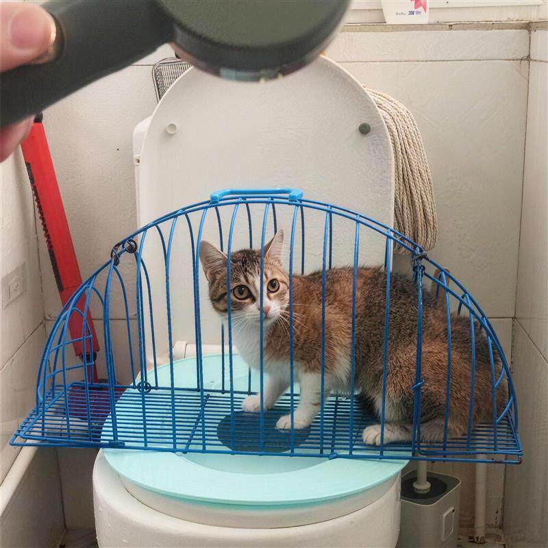猫咪洗澡神器固定器防挣扎洗猫笼吹干专用防抓防咬宠物清洁用品