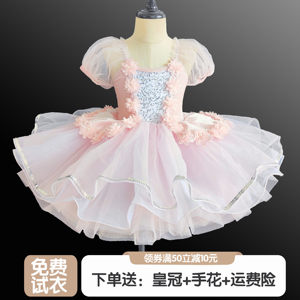 儿童专业芭蕾舞裙女童幼儿舞蹈蓬蓬纱裙表演服小天鹅走秀合唱服装