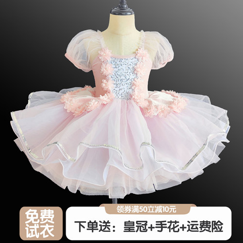 儿童专业芭蕾舞裙女童幼儿舞蹈蓬蓬纱裙表演服小天鹅走秀合唱服装