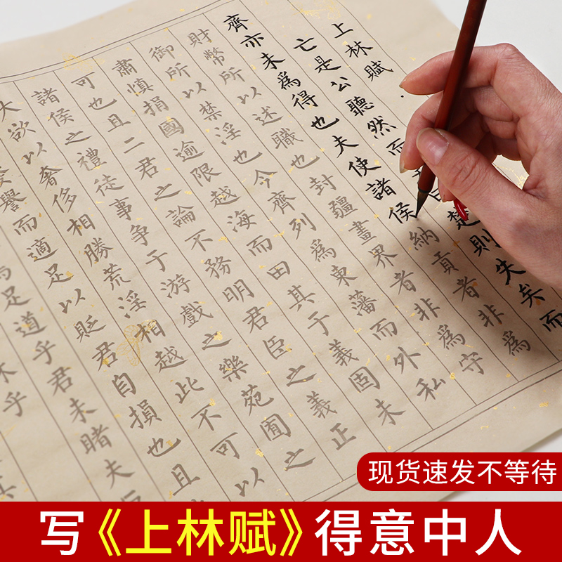 上林赋字帖初学者临摹半生熟