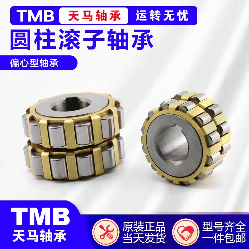 天马减速机偏心轴承RN204 205 206 307 308 309 312 219 222M轴承