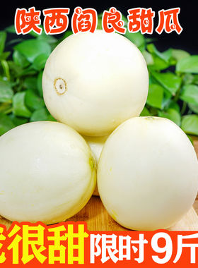 陕西阎良甜瓜正宗9斤水果新鲜应当季整箱包邮脆蜜瓜头茬香瓜现摘