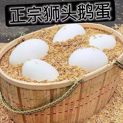 12枚装正宗狮头鹅新鲜农家散养土大鹅蛋孕妇去胎毒中号80-100克发
