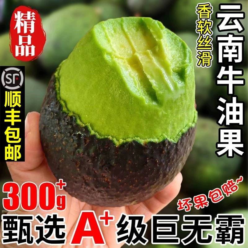 云南孟连国产哈斯hass牛油果新鲜水果鳄梨巨无霸一级大果顺丰包邮