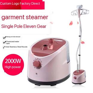 electric compact iron steam soleplate clothessteamer跨境香港