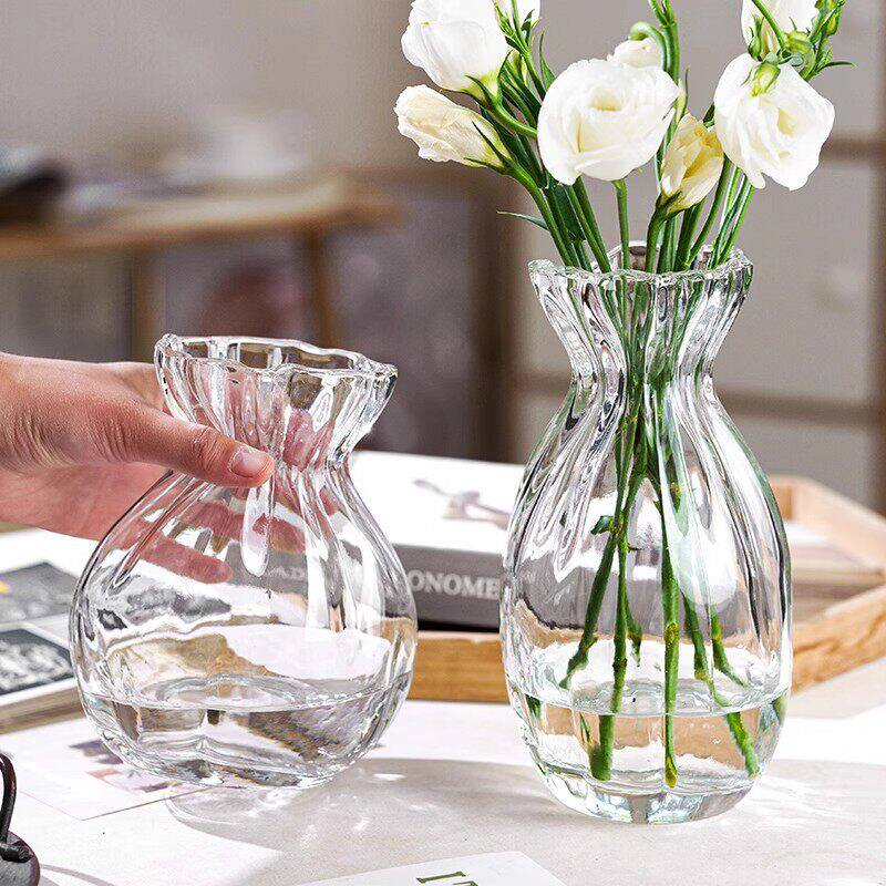 网红创意玻璃花瓶透明水养玫瑰百合郁金香客厅餐桌钱袋子水培器皿