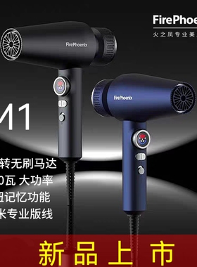 火之凤M1吹风机理发店专用发型师发廊大功率大风速干高速无刷风筒