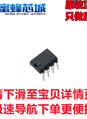 蜜蜂芯城 SP3485EP DIP-8直插 RS-485收发器 芯片 EXAR/SIPEX原装