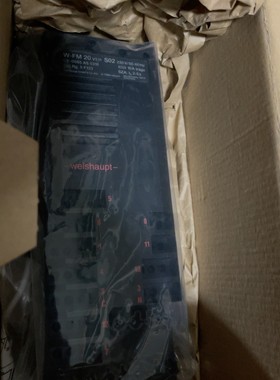 威索燃烧管理器WFM20,正常使用拆机,功能包好.同时提供维