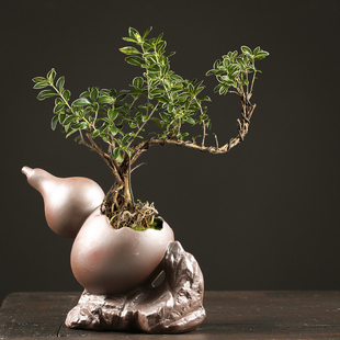 创意多肉花盆紫砂陶瓷文竹榕树小叶紫檀盆景盆栽家用复古个性花盆