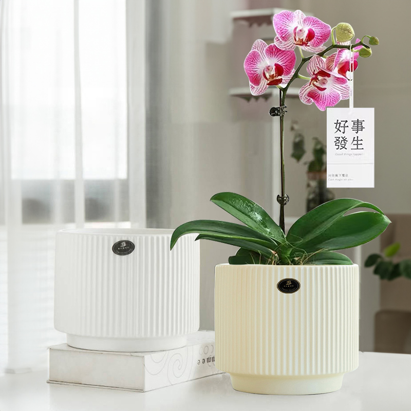 香缘国风多肉绿植花盆陶瓷家用