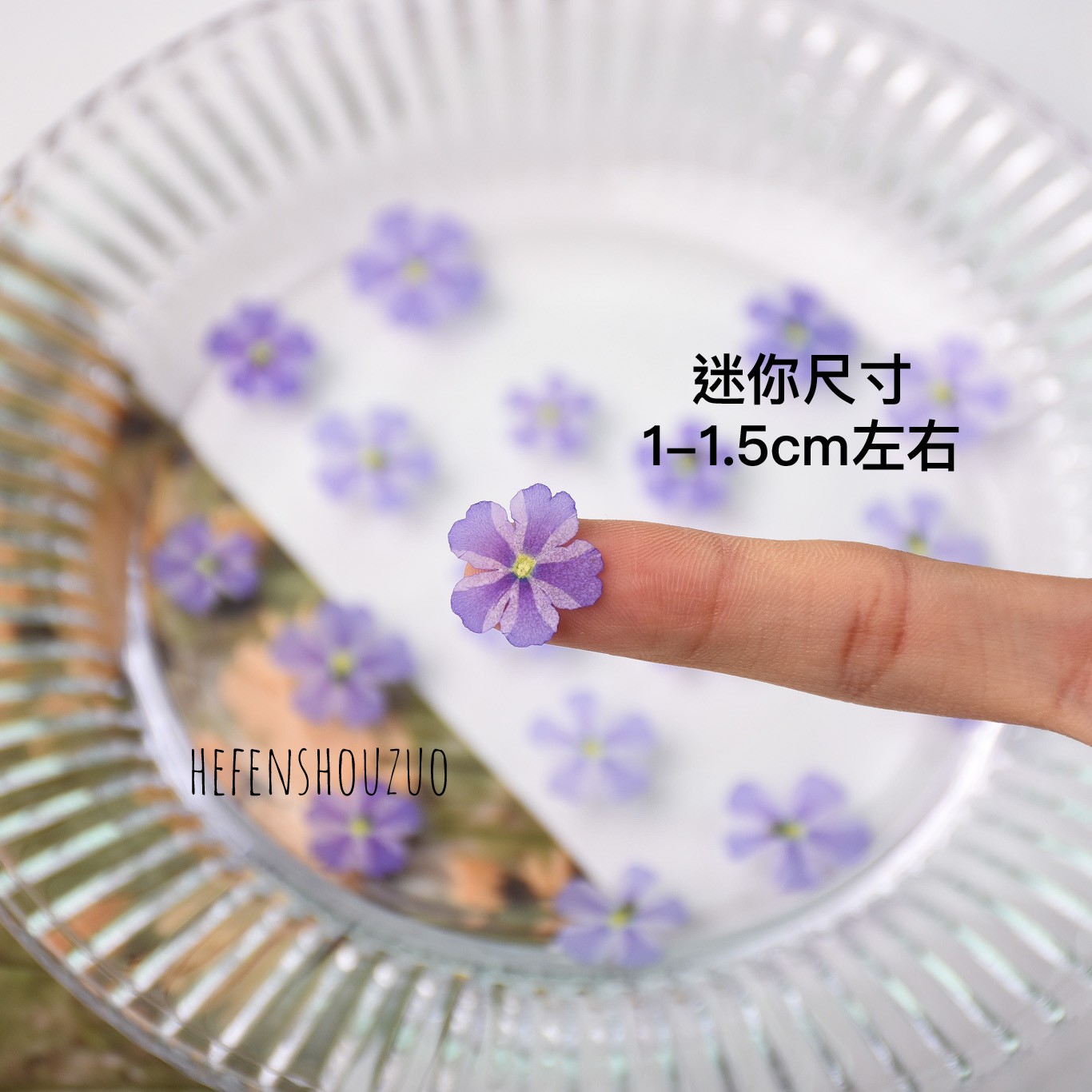 2025紫色棒棒糖美女樱真花押花手工diy材料uv水晶饰品封入物迷你