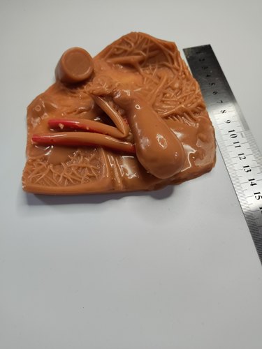 肝胆囊床外科腹腔镜模拟训练练习缝合剪切剥离模块模型