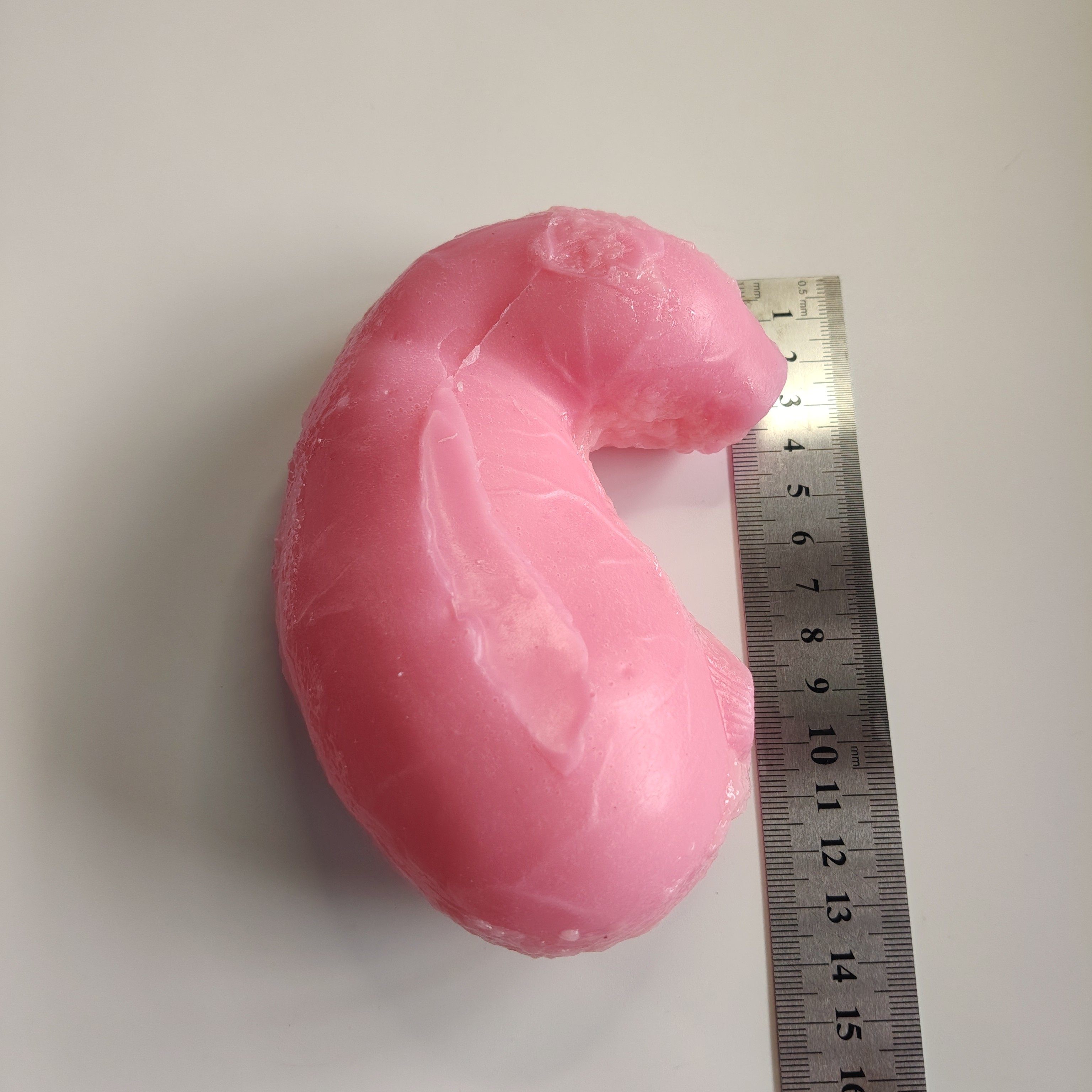 空心胃消化系统胃镜外科内脏器官腹腔镜模拟训练缝合剪切模块模型,文具电教/文化用品/商务用品,教学标本/模型,淘宝优惠券,粉丝福利购,淘宝优惠卷