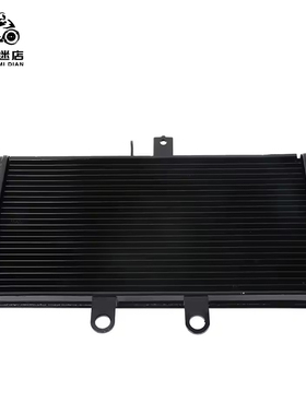 适用铃木BANDITGSF1250S GSF1250 07-14 GSX650F 08-16散热器水箱