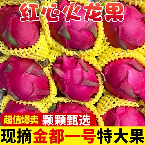 云南金都一号红心火龙果新鲜水果