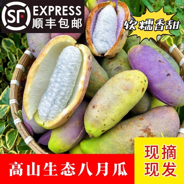 野生八月瓜新鲜水果八月炸