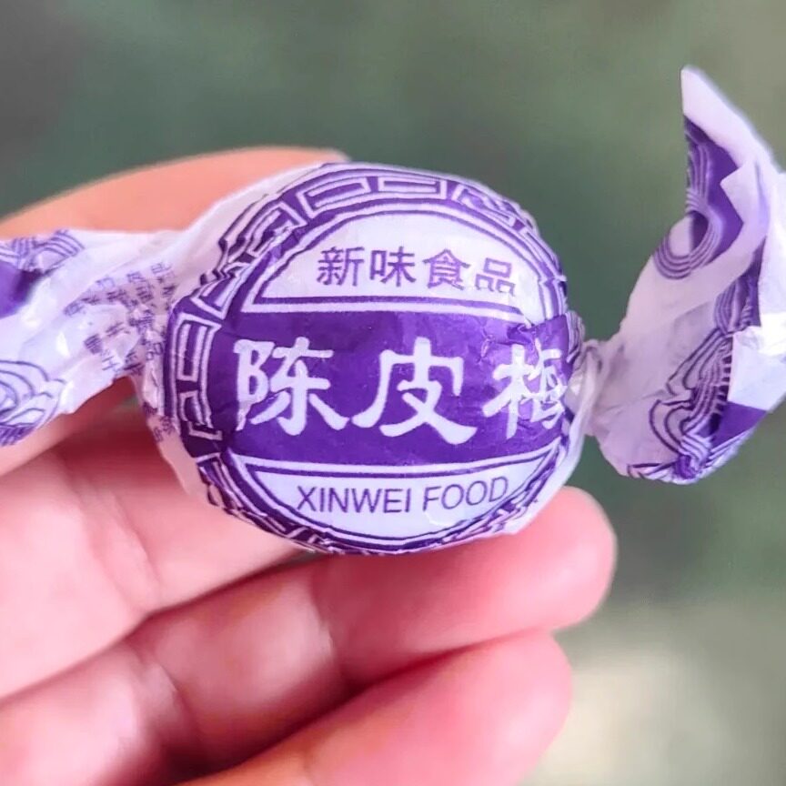 广东特产纸包陈皮梅加应子包嘉应子李子话梅休闲零食250g