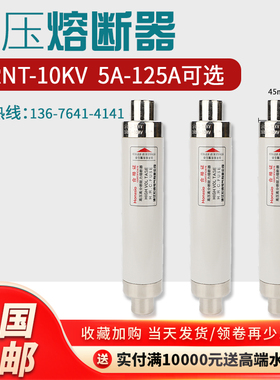 10kv高压熔断器XRNT12KV10A20A40A50A63安80A100APT熔断器保险管
