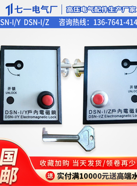户内高压电磁锁DSN- IY-IZ反向电磁锁隔离门锁BMY-BMZ锁电磁小型