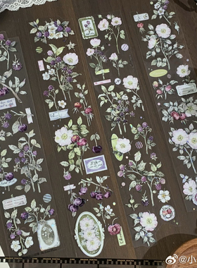 小王纸和小狐狸 野莓集星月钥苹果酱PET贝壳光胶带流麻手帐拼贴素