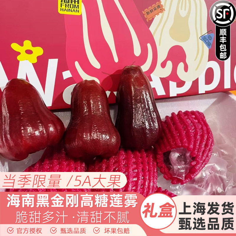 海南高糖黑金刚莲雾3斤礼盒水果特大果新鲜连雾脆甜多汁当季顺丰