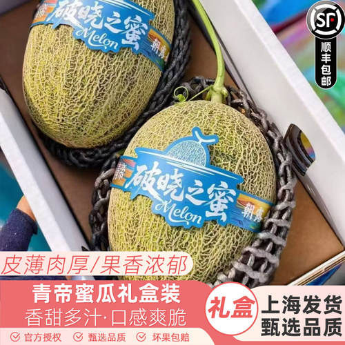 破晓之蜜青帝蜜瓜香甜脆原箱2个礼盒装新鲜水果哈密瓜绿瓢瓜顺丰