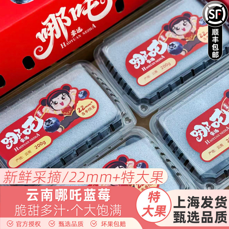 哪吒云南蓝莓鲜果精选大果22mm+当季时令新鲜水果顺丰快递快递