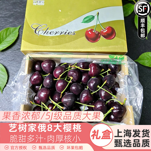 艺树家俄罗斯8号大樱桃大连艺术家樱桃车厘子大果2斤装顺丰包邮