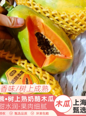 蜂蜜熊树上熟奶酪木瓜新鲜当季水果一箱五斤礼盒装孕妇水果顺丰