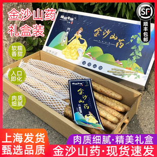 山东潍坊特产高甜女神之选金沙山药冰糖口感白芋铁棍山药粉糯礼盒