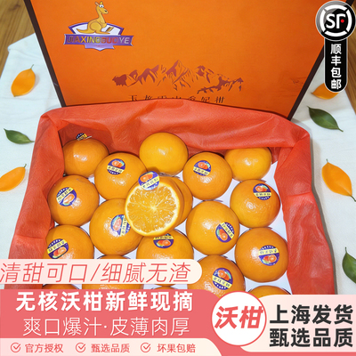 广西武鸣无核沃柑新鲜水果当季正宗薄皮无籽沃柑脏脏柑橘蜜桔整箱