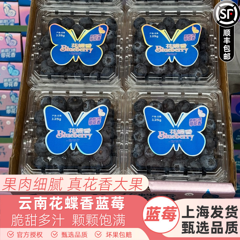 云南花蝶香蓝莓鲜果原箱礼盒12盒大果当季新鲜水果脆甜多汁顺丰