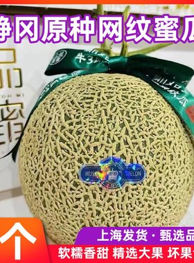 正宗海南网纹蜜瓜玫珑瓜静冈网纹瓜夕张2个大果当季新鲜水果