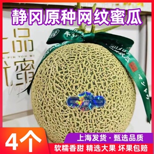 正宗海南网纹蜜瓜玫珑瓜静冈网纹瓜夕张2个大果当季新鲜水果