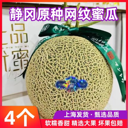 正宗海南网纹蜜瓜玫珑瓜静冈网纹瓜夕张2个大果当季新鲜水果
