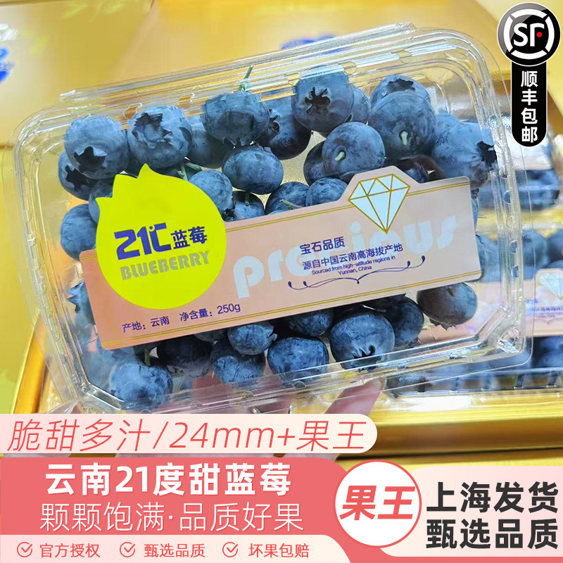 云南21度宝石甜蓝莓 原箱约2斤单盒250g 新鲜水果护眼特大果蓝莓