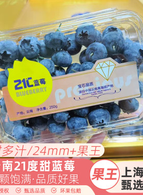 云南21度宝石甜蓝莓 原箱约2斤单盒250g 新鲜水果护眼特大果蓝莓
