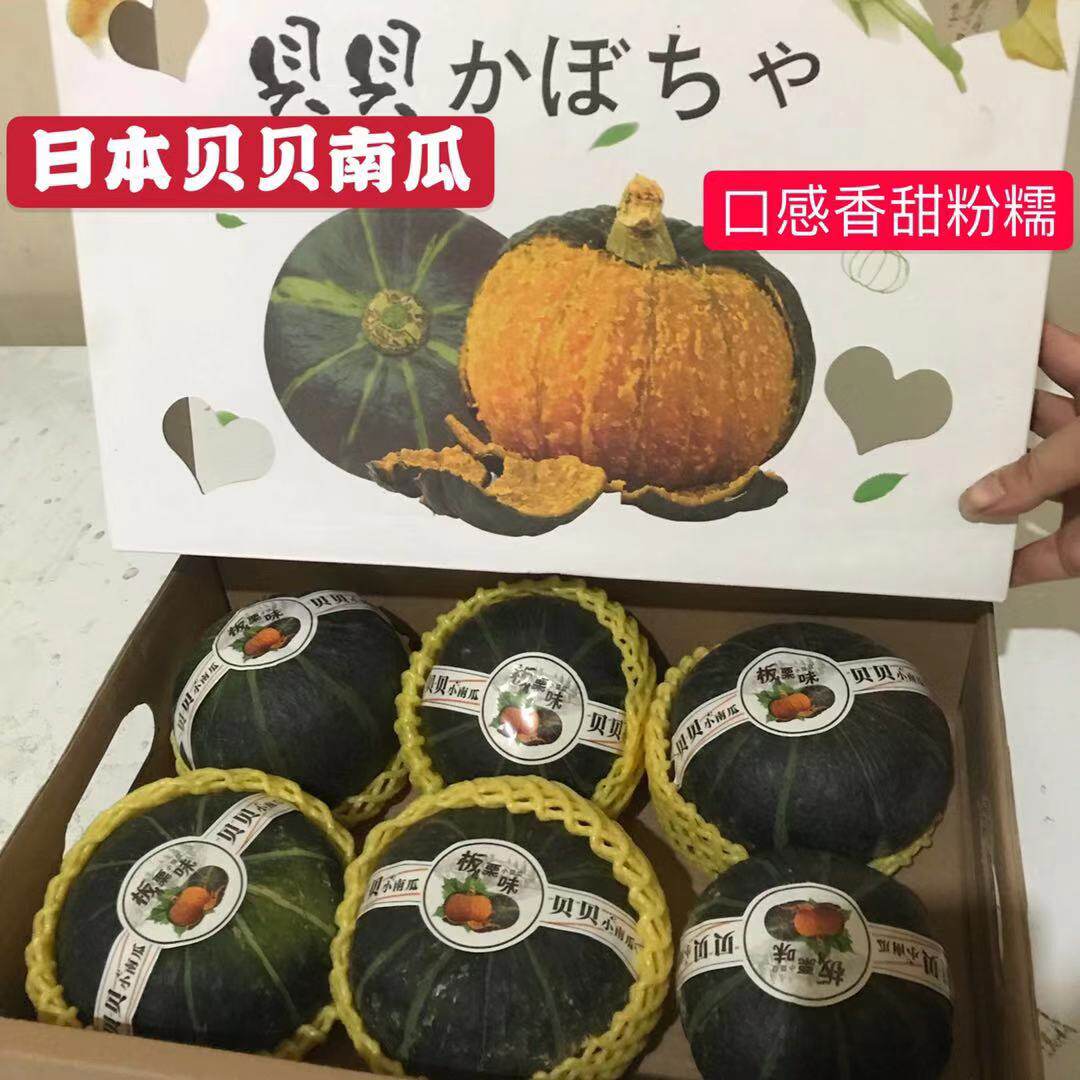 小南瓜贝贝南瓜进口品种板栗味香糯甜粉面5~6颗礼盒