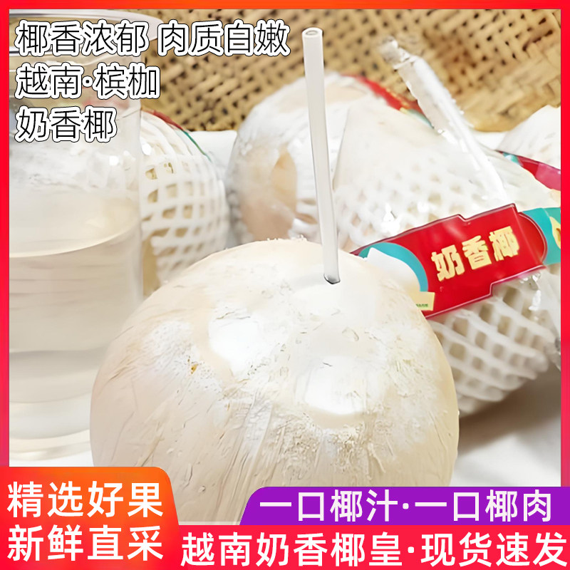 奶香椰青新鲜椰子9个装当季孕妇水果香浓椰香皇去皮椰子整箱包邮
