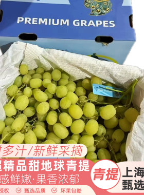 甜地球青提无籽提当季时令新鲜香甜多汁葡萄提子4斤装顺丰快递